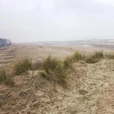 아파트 With Sea View And Balcony In Belgium