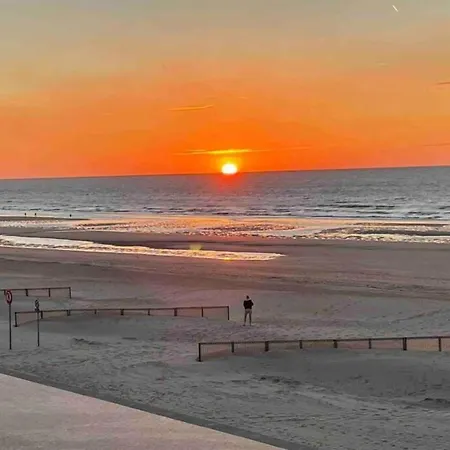 With Sea View And Balcony In Belgium 코크시데