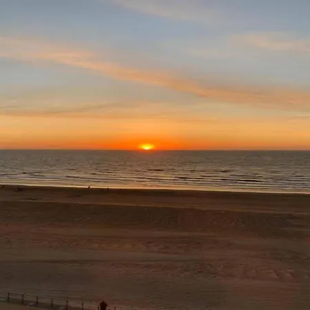 With Sea View And Balcony In Belgium 코크시데