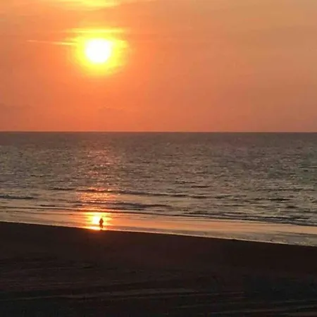 With Sea View And Balcony In Belgium * קוקסיידה