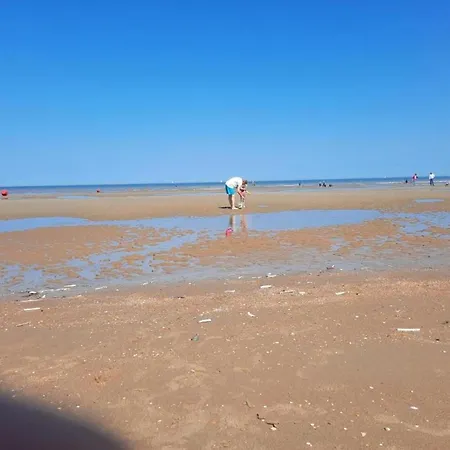 아파트 With Sea View And Balcony In Belgium 코크시데