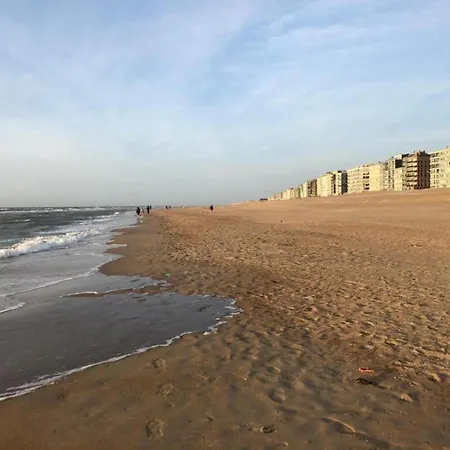 With Sea View And Balcony In Belgium *